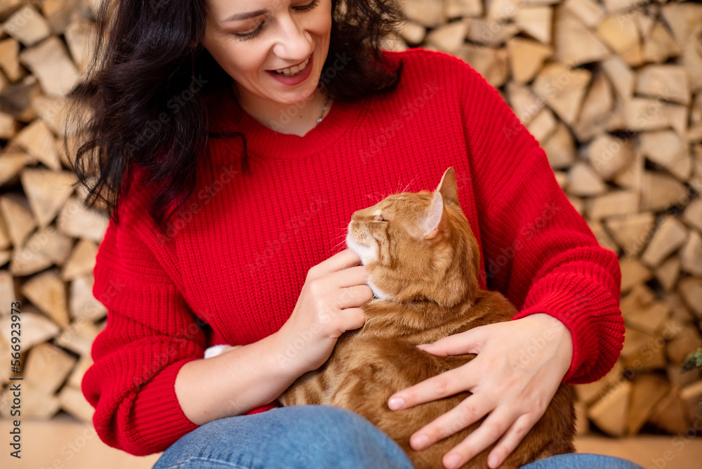 A cute girl in a sweater strokes a red cat and looks at him. A cat with closed eyes A cute girl in a sweater strokes a red cat and looks at him. A cat with closed eyes