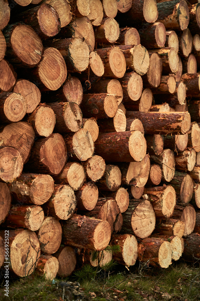 Renewable bio fuel preparation. Winter heating season. Wall of stacked wood logs. Renewable bio fuel preparation. Winter heating season. Wall of stacked wood logs.