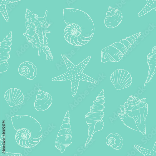 Seashells and starfish seamless pattern background vector illustration. Cute aquatic marine life doodle wallpapers