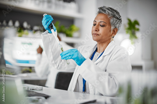 Plants, test tube and science woman with research, exam and solution for leaves in laboratory, eco friendly medicine. Glass, sustainable healthcare study and pharmaceutical growth of senior scientist