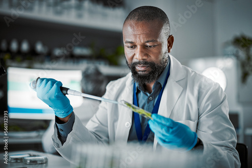 Картината върху платно Plants, laboratory and scientist man with natural exam, leaves solution and eco friendly medicine, research or study