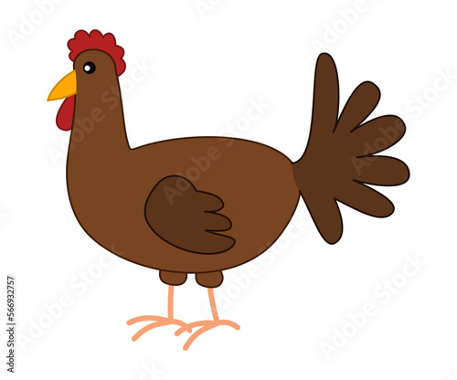 A brown chicken isolated in profile on a white background