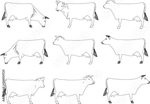 Vector sketch illustration of a fat cow on a farm