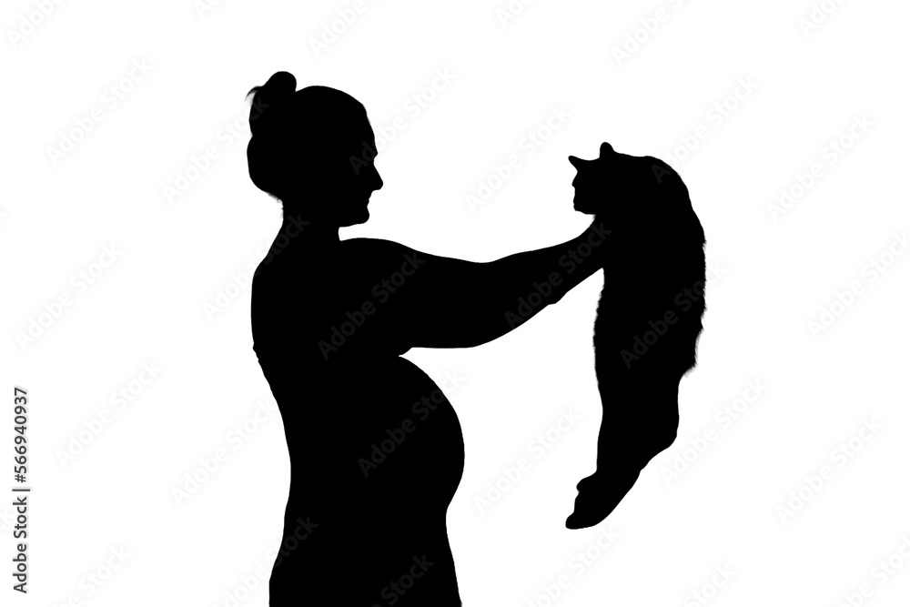 A pregnant woman holds a cat in her arms, isolated on a white background. Problems with pets during pregnancy, the silhouette of the future mother at the night window