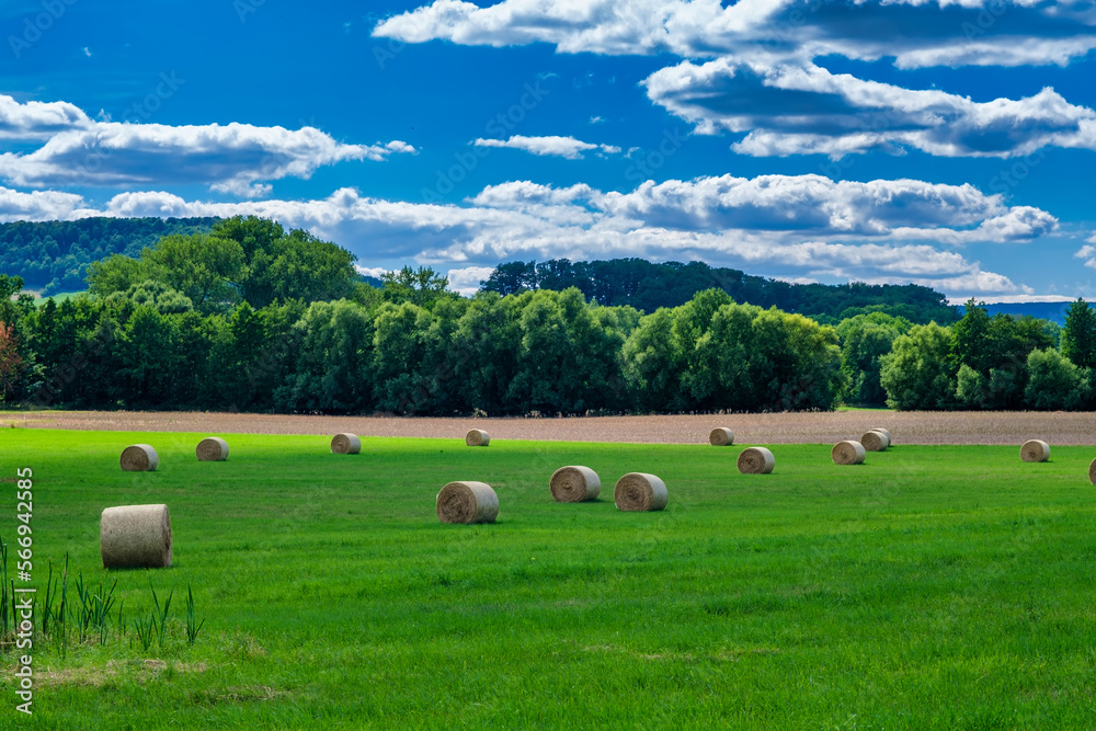 Rolls haystacks straw on field, harvesting wheat. Rural field with bales of hay. Landscape Rolls haystacks straw on field, harvesting wheat. Rural field with bales of hay. Landscape