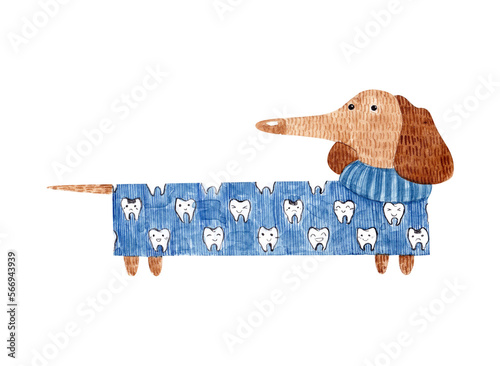 dachshund dentist. dog in a blue sweater with teeth. watercolor illustration for print posters, cards, t-shirt prints, stickers.