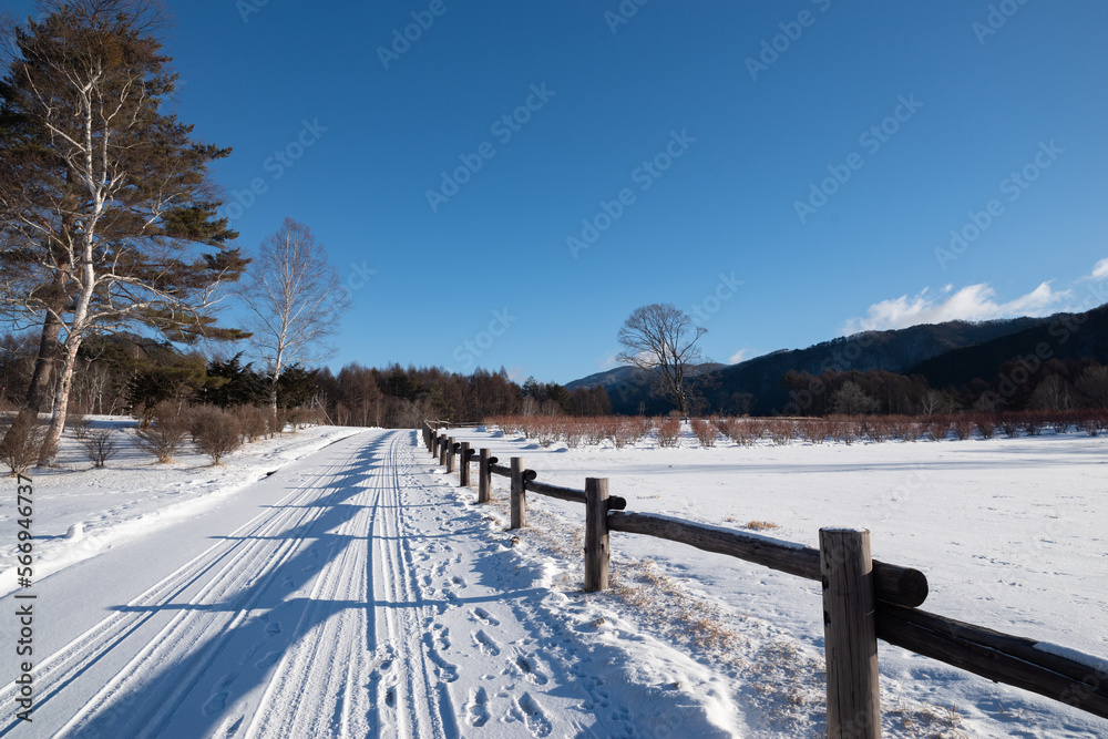 雪景色の開田高原 雪景色の開田高原