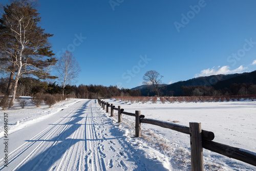 雪景色の開田高原 © rai