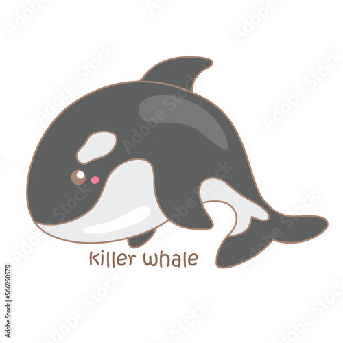 Alphabet K For Killer Whale Vocabulary Illustration Vector Clipart