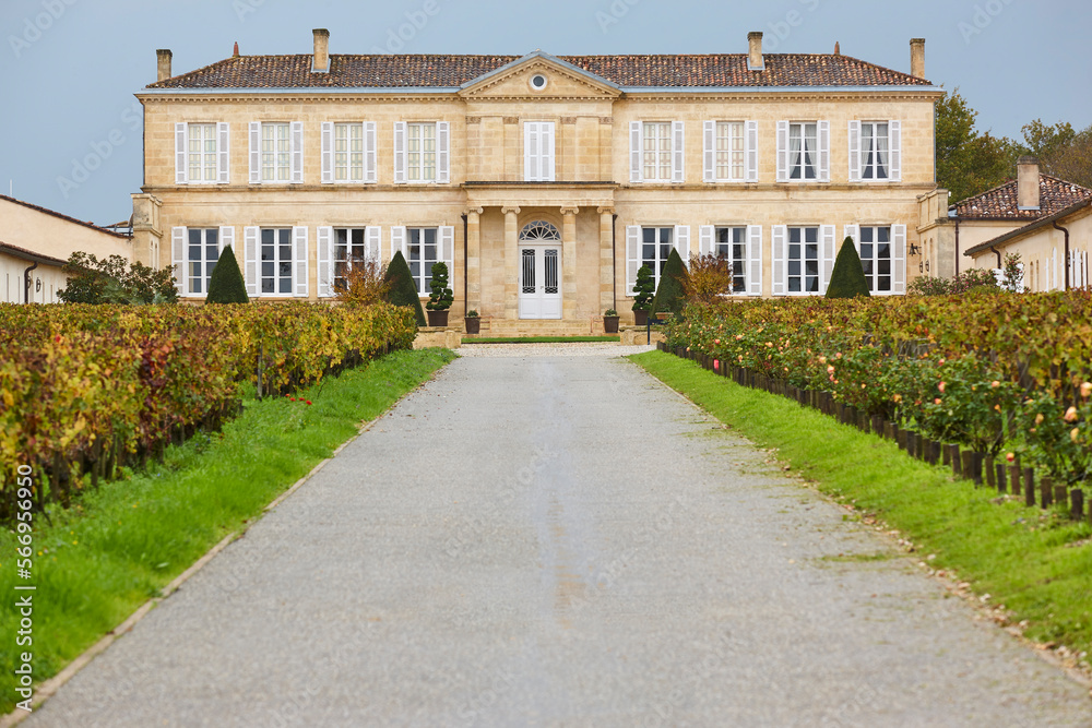 Traditional chateau and vineyards in Bordeaux. Winemaking in Aquitaine, France
