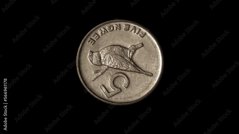 Reverse of Botswana coin 5 thebe with image of a bird, isolated in black background. 4K video Reverse of Botswana coin 5 thebe with image of a bird, isolated in black background. 4K video