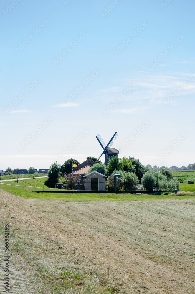 Fototapeta premium Windmühlen am Ijseemeer, Niederlande