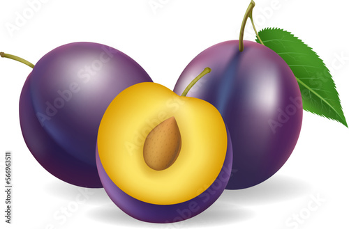 Realistic purple plums