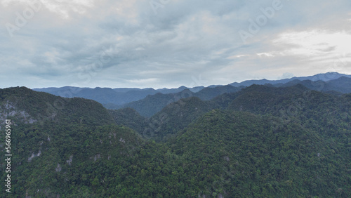 High angle view tropical forest