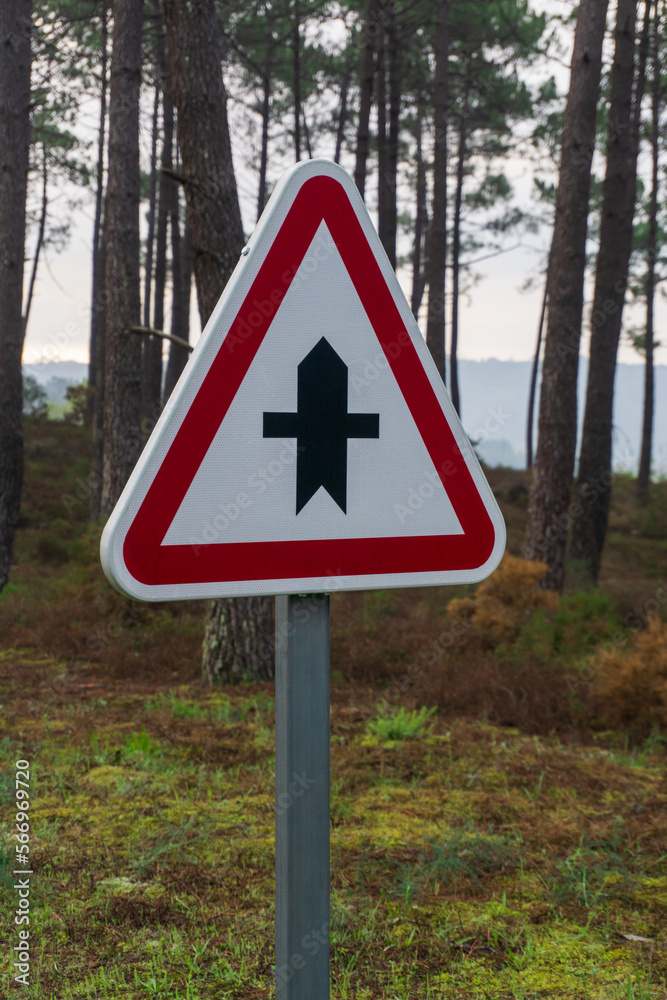 Crossroad warning sign on a road in a pine forest Crossroad warning sign on a road in a pine forest