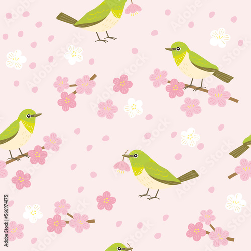 Seamless pattern of white-eye bird and flowers  spring wild bird  vector hand-drawn illustration.