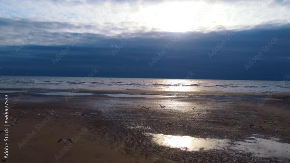 Seagulls on the beach. Seagulls flying over the sea at sunset Seagulls on the beach. Seagulls flying over the sea at sunset