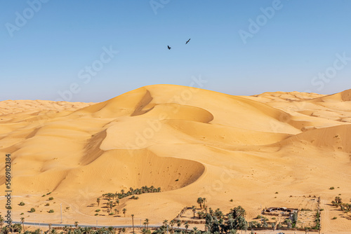 Taghit town of Bechar  Algeria Sahara desert. Palm trees oasis  a khaima or a tuareg stable dome tent covered with mats and sand dune with a blue clear sky. Aerial view from Djebel Baroun mountain.