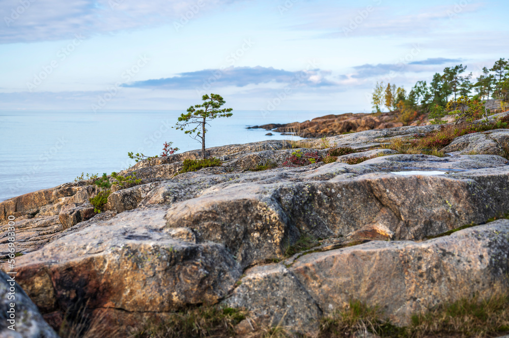 Rocky coast and sea. Fäboda, Jakobstad/Pietarsaari. Finland Rocky coast and sea. Fäboda, Jakobstad/Pietarsaari. Finland