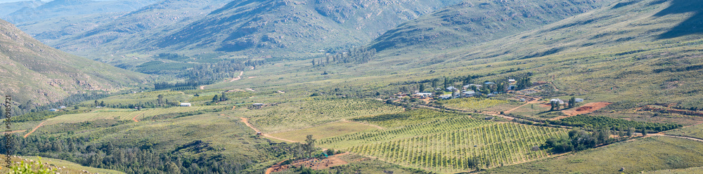 Panorama of Jamaka organic farm as seen from Nieuwoudt Pass