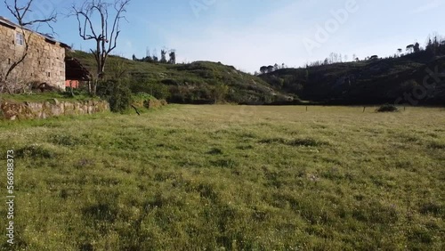 landscape in the morning