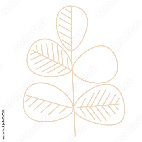 Floral element on white background 