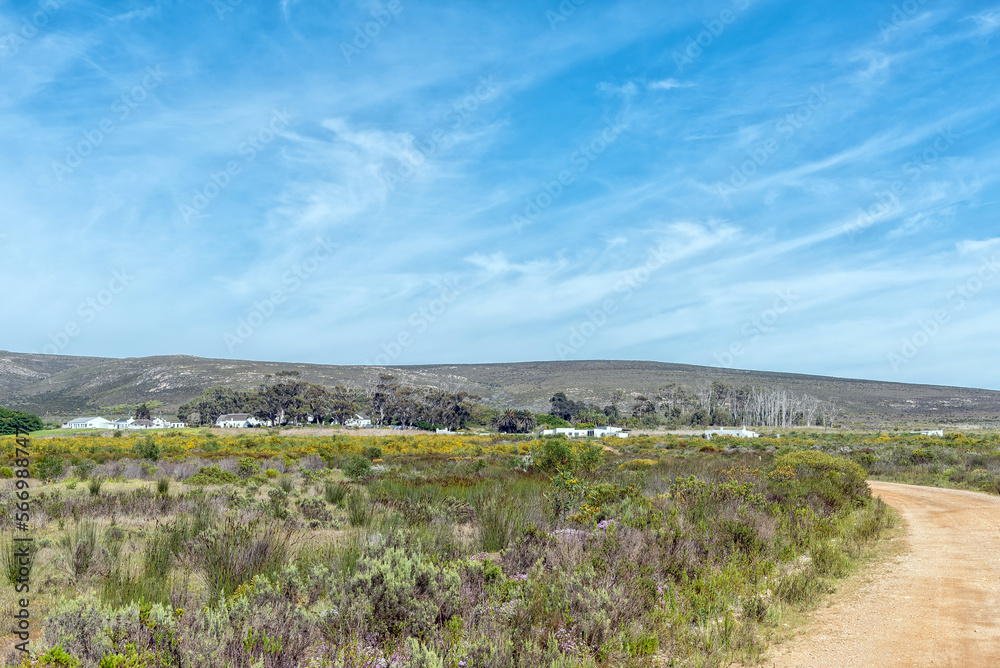 Springfield Estate near Struisbaai in the Western Cape Province