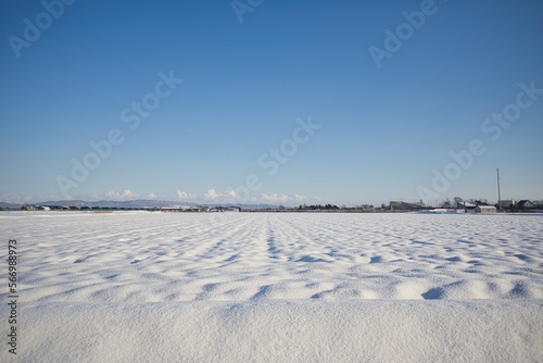雪に覆われた大地冬の景色