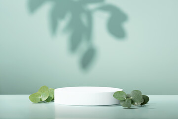 Abstract empty white podium with eucalyptus leaves on blue background