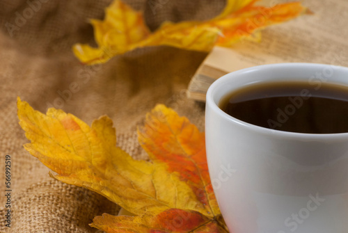 Autumn composition. Cup of coffee, dried leaves background. Autumn elegant concept. Close up
