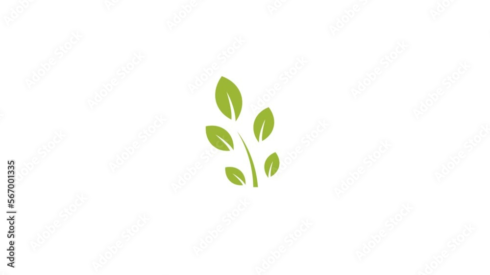 animation of a growing sprout. video growing small green tree animation of a growing sprout. video growing small green tree