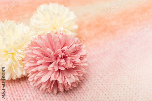 Delicate pink and white blossom on a cozy woolen background. Romantic flower arrangement. Spring bloom aesthetic.