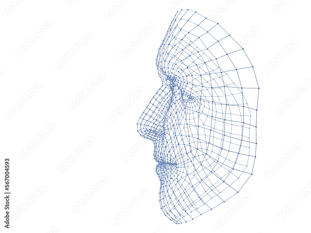 3 D Human head medical scan. Model wireframe 3 D Human head medical scan. Model wireframe