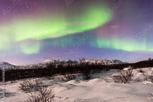 imagen de un paisaje nocturno nevado con auroras boreales en el cielo y todo iluminado por la luz de la luna en Islandia