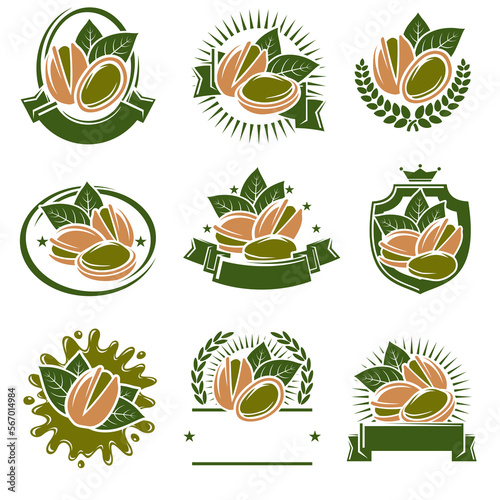Pistachio nuts label and icon set. Collection pistachio nuts icons. Vector