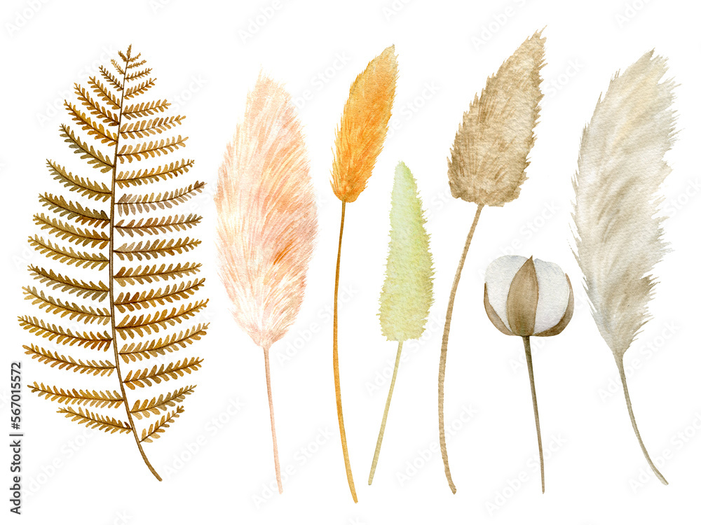 Obraz premium Watercolor tropical clipart with leaves, Pampas grass, dry flora, cotton. Exotic set of natural leaves Hand painted watercolor.