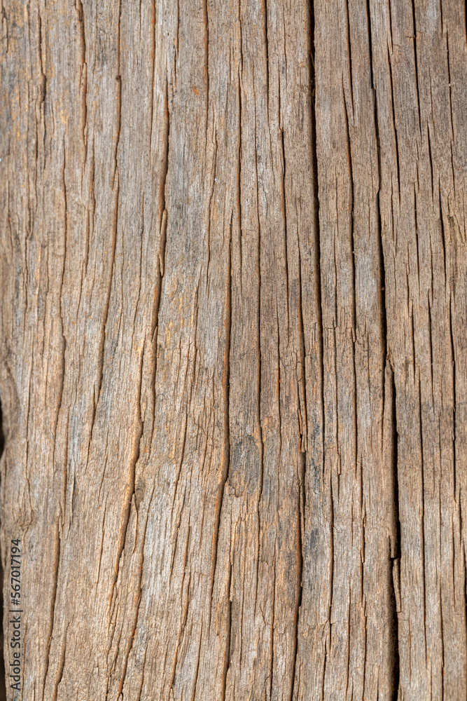 dry plank background,Old gray cracked weathered washed tainted wood texture with horizontal cracks with traces of sawn down. Natural textured closeup dry plank background. dry plank background,Old gray cracked weathered washed tainted wood texture with horizontal cracks with traces of sawn down. Natural textured closeup dry plank background.