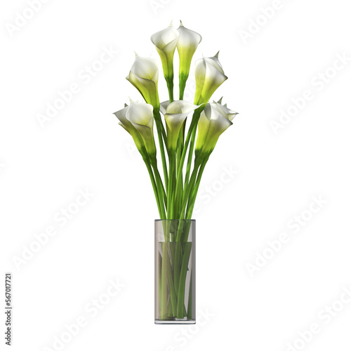 decorative flowers and plants for the interior   isolated on white background  3D illustration  cg render