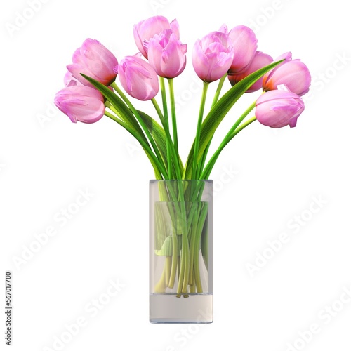 decorative flowers and plants for the interior,  isolated on white background, 3D illustration, cg render © vadim_fl