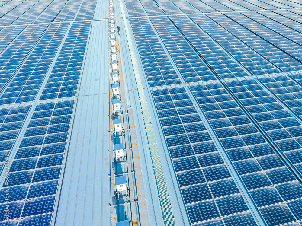 A person is checking solar panels on the roof of a building