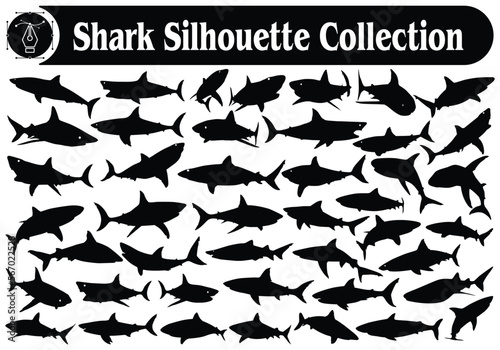 Animal Shark Silhouette Vector Collection