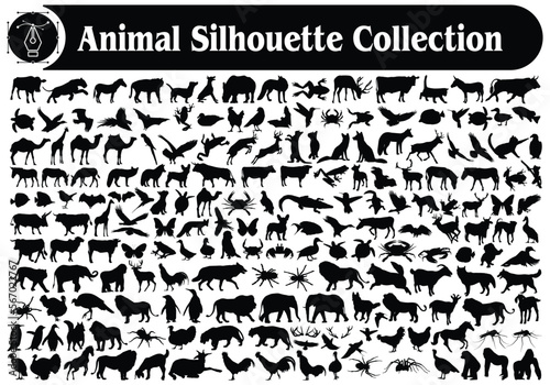 Different types of Animal silhouettes Bundle