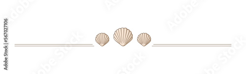 Seashells border divider. Sea and ocean design template. Vector illustration summer or beach party  advertising design