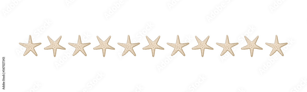 Seashells border divider. Sea and ocean design template. Vector illustration summer or beach party, advertising design Seashells border divider. Sea and ocean design template. Vector illustration summer or beach party, advertising design