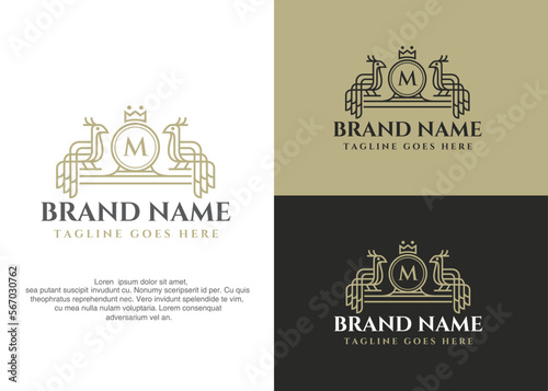 Letter M and peacock, peafowl line art logo icon. Line, outline style. Abstract monoline design illustration