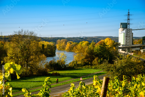 View from the vineyard to the factory and the river Main, in autumn. Bavaria Germany.
