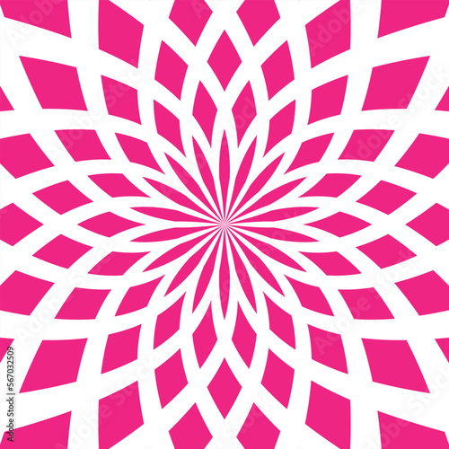 Dahlia sunburst pink pattern. Vector illustration