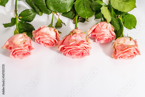 Bouquet of fresh delicate roses isolated on white background. Romantic gift concept, pink flowers