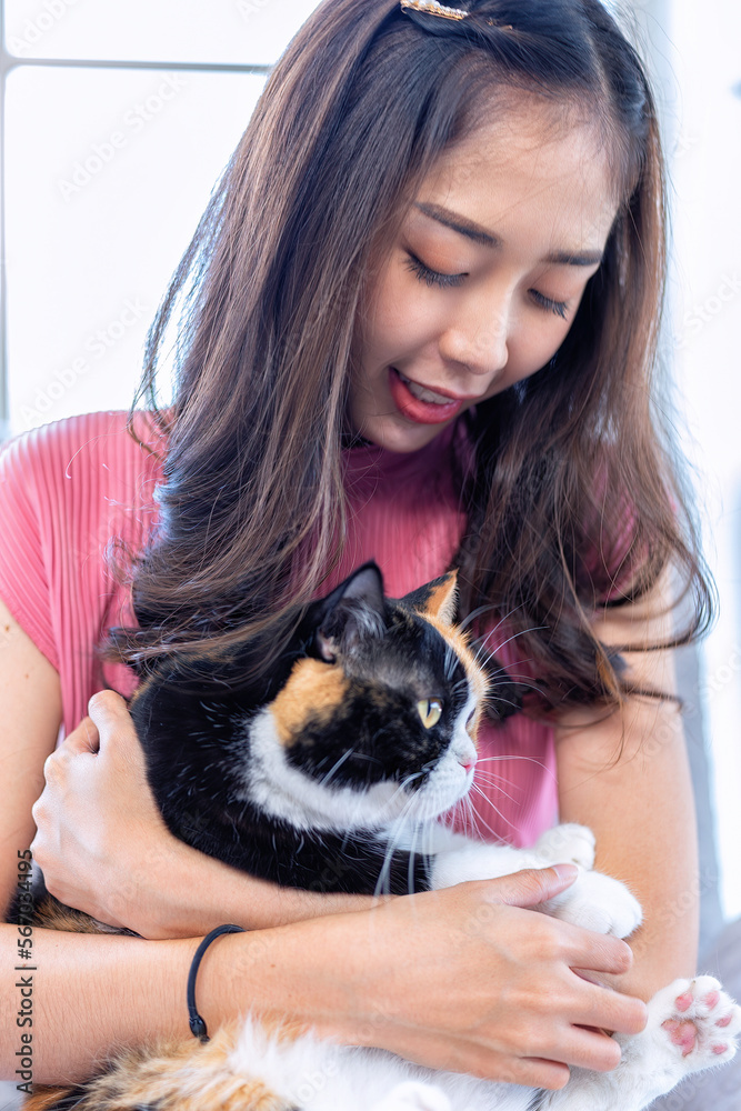 Young beautiful cat lover working woman with cute cat lying in bed at home and having fun on bed Young beautiful cat lover working woman with cute cat lying in bed at home and having fun on bed