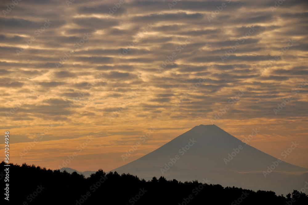夏の朝に望む富士山